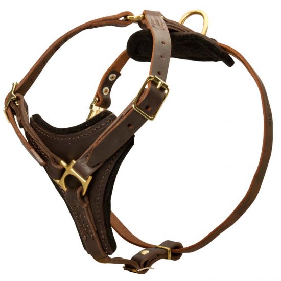 best leather dog harness