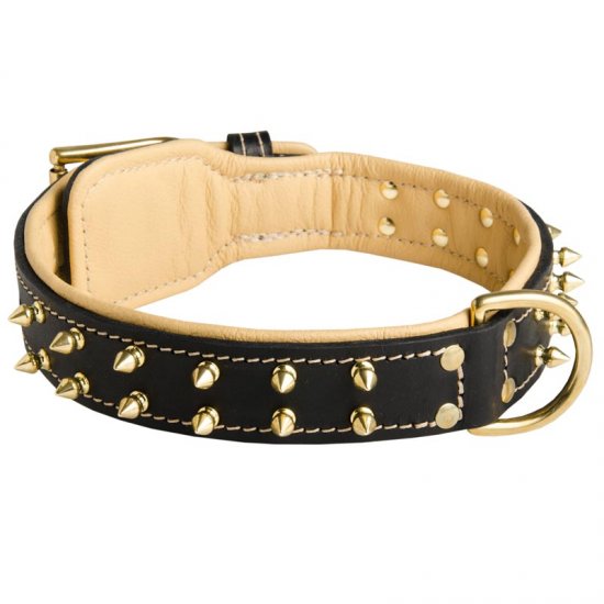 Royal Leather American Bulldog Collar Spiked Padded with Nappa Leather ...