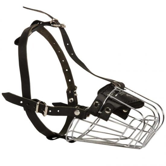 basket muzzle for bulldog