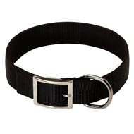 2 Ply Nylon American Bulldog Collar 2 Ply Nylon American Bulldog Collar