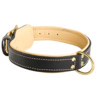 Padded Leather American Bulldog Collar Padded Leather American Bulldog Collar