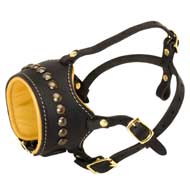 Open Nose Studded Leather American Bulldog Muzzle With Nappa Padding Open Nose Studded Leather American Bulldog Muzzle With Nappa Padding