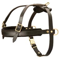 Leather American Bulldog Harness for Tracking and Pulling Leather American Bulldog Harness for Tracking and Pulling