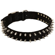 American Bulldog Nylon Collar Spiked American Bulldog Nylon Collar Spiked