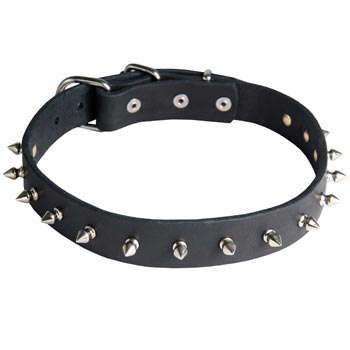 American Bulldog Dog Leather Collar Steel Nickel Plates Spikes
