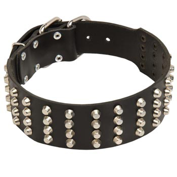 2 Inches Leather   American Bulldog Collar Extra Wide Studded