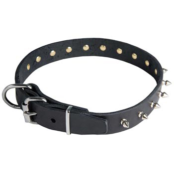 American Bulldog Leather Collar with Spikes