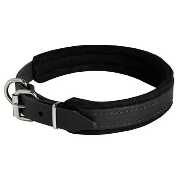 Padded Leather American Bulldog Collar Adjustable