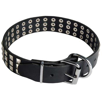 Leather Collar with Pyramids for American Bulldog