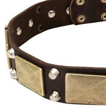 Leather American Bulldog Collar with Nickel Studs