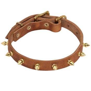 Designer Leather Collar for American Bulldog