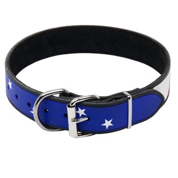 American Bulldog Leather Collar With American  Flag Painting