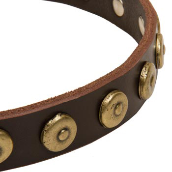 American Bulldog Collar with Stylish Circles