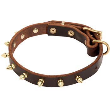 Leather American Bulldog Collar with Brass Spikes