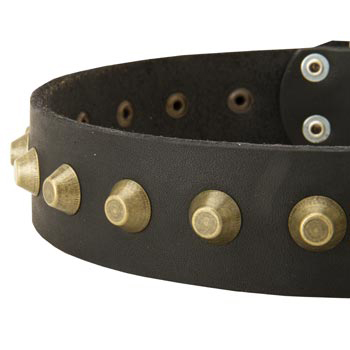 Leather Dog Collar with Brass Pyramids for American Bulldog