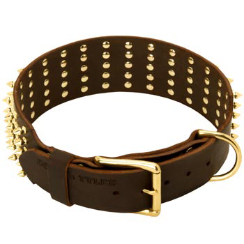 Leather American Bulldog Collar with Solid Buckle and D-ring