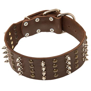 Leather Collar for American Bulldog Walking in Style 