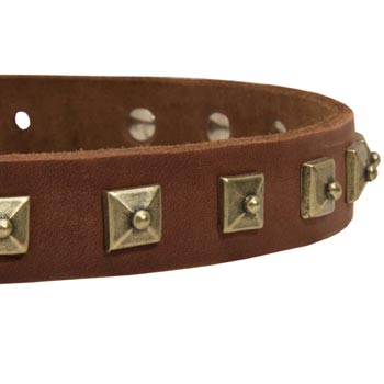 American Bulldog Leather Collar With Square  Studs