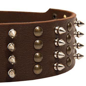 American Bulldog Leather Collar with Rust-proof Fittings