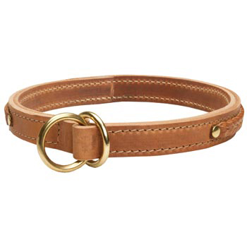  2 Ply Leather Choke Collar for American Bulldog