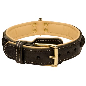 American Bulldog Decorated  Leather Dog Collar