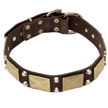 Nickel Studded Leather American Bulldog Collar