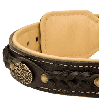  Leather Walking Fashion Collar for American Bulldog