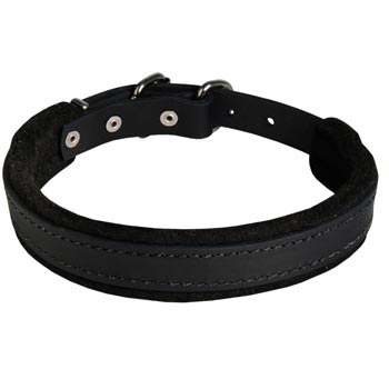American Bulldog Collar Leather for Dog Protection Attack Training