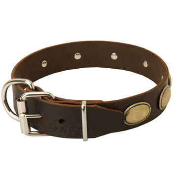 Fashionable Leather Collar for American Bulldog