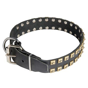 Leather American Bulldog Collar with Solid Rivets