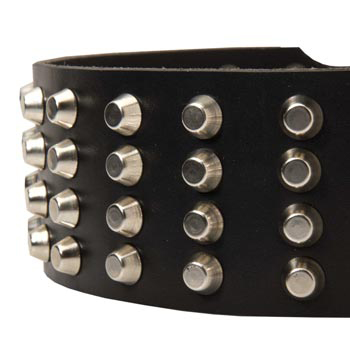 Leather Dog Collar with Studs for   American Bulldog