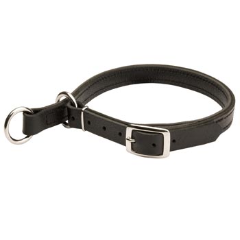 American Bulldog Obedience Training Choke  Leather Collar