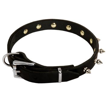 American Bulldog Dog Leather Collar Steel Nickel Plated Spikes