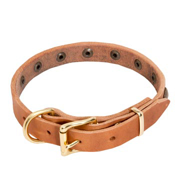 American Bulldog Leather Collar with Studs