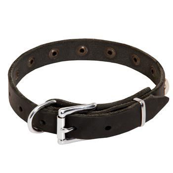Leather Dog Puppy Collar with Steel Nickel Plated Studs for American Bulldog