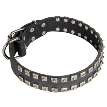 Leather American Bulldog Collar Wide Strong Studded