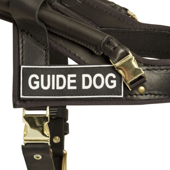American Bulldog Leather Guid Harness with ID Patches