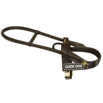 American Bulldog Guid Harness Leather for Dog Assistance