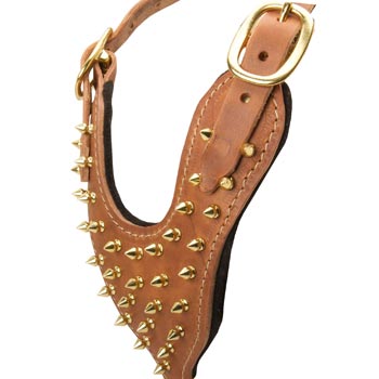 Brass Spiked Leather American Bulldog Harness