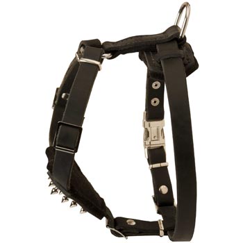 American Bulldog Leather Harness for Puppy Walking and Training