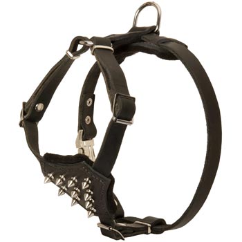 American Bulldog Leather Puppy Harness with Attractive Nickel Decoration