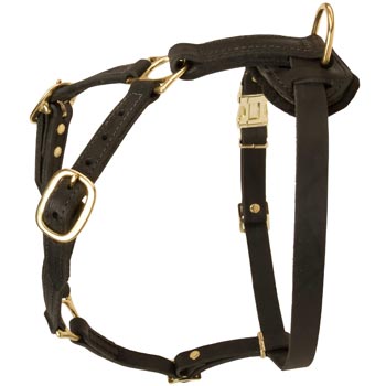 Tracking Leather Dog Harness for American Bulldog