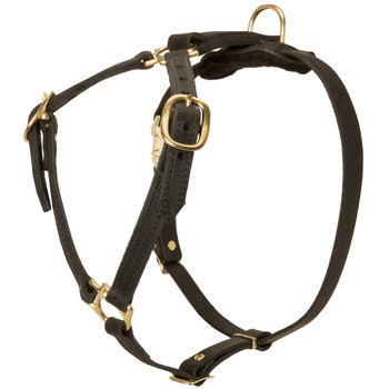 Leather American Bulldog Harness Light Weight Y-Shaped for Tracking Dog