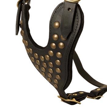 Studded Black Leather CHest Plate for American Bulldog Comfort