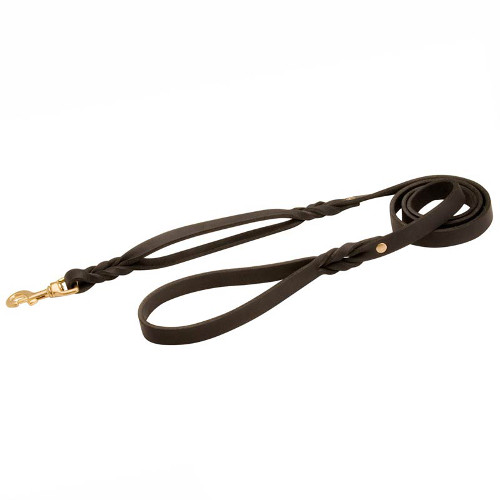 American Bulldog Leather Leash with Decorative Braids
