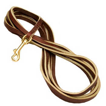 Brown Leather Dog Leash with Strong Brass Snap Hook