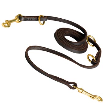 Multipurpose American Bulldog Leather Leash for Effective Training