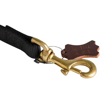 Nylon American Bulldog Leash with Dependably Stitched Brass Snap Hook