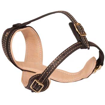 American Bulldog Muzzle Leather Easy Adjustable with Quick Release Buckle