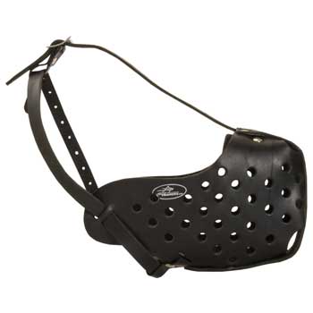 Safe Leather Muzzle for American Bulldog Walking